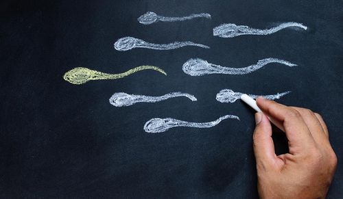 8-Male-fertility-declining 8-Male-fertility-declining