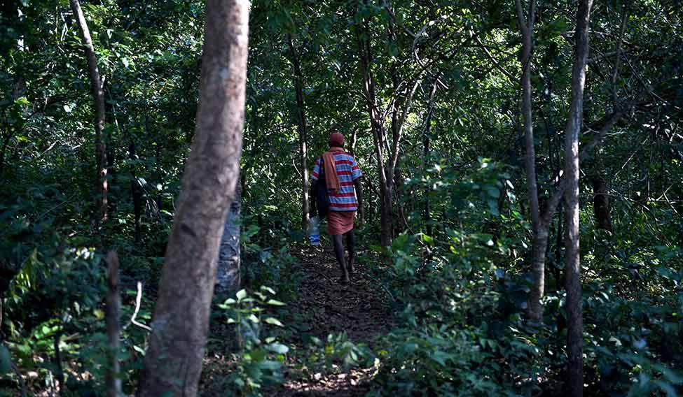 An area of darkness: A villager at the site in Ramguda where the encounter took place in October | Salil Bera No more guerrilla warfare