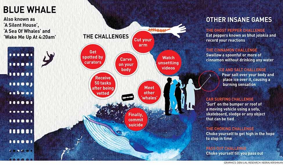 37-Blue-Whale 37-Blue-Whale