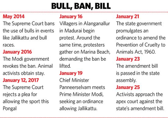 39-bull-ban-bill 39-bull-ban-bill