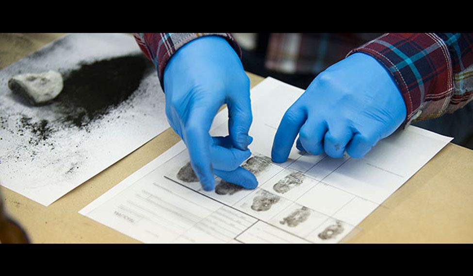 Forensic sciences can lead to numerous job opportunities