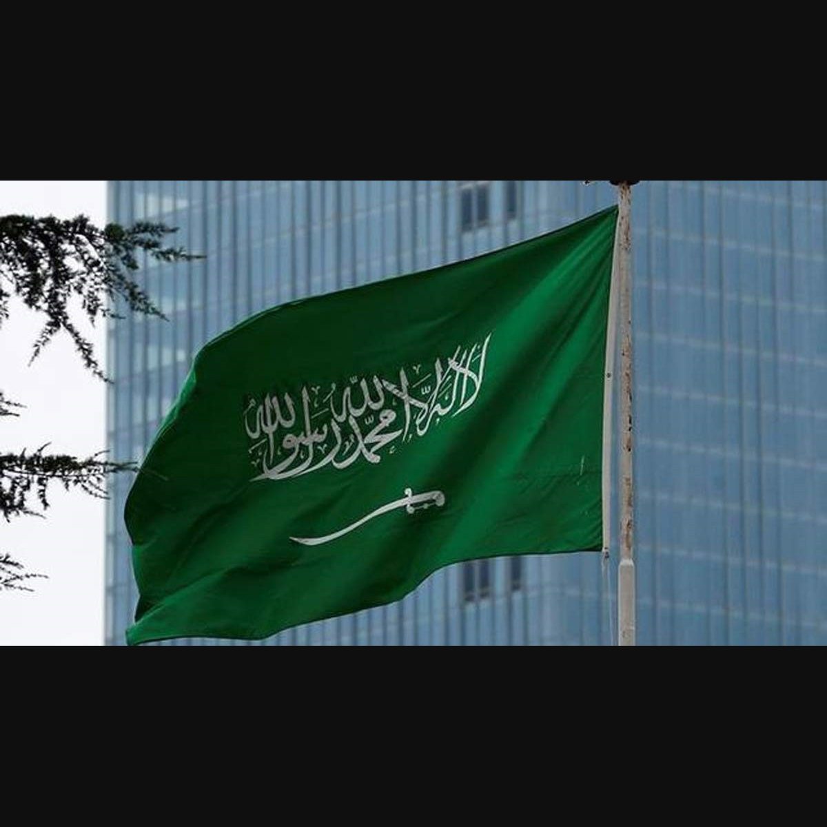 How Does Saudi Arabia Tackle Illegal Migration?