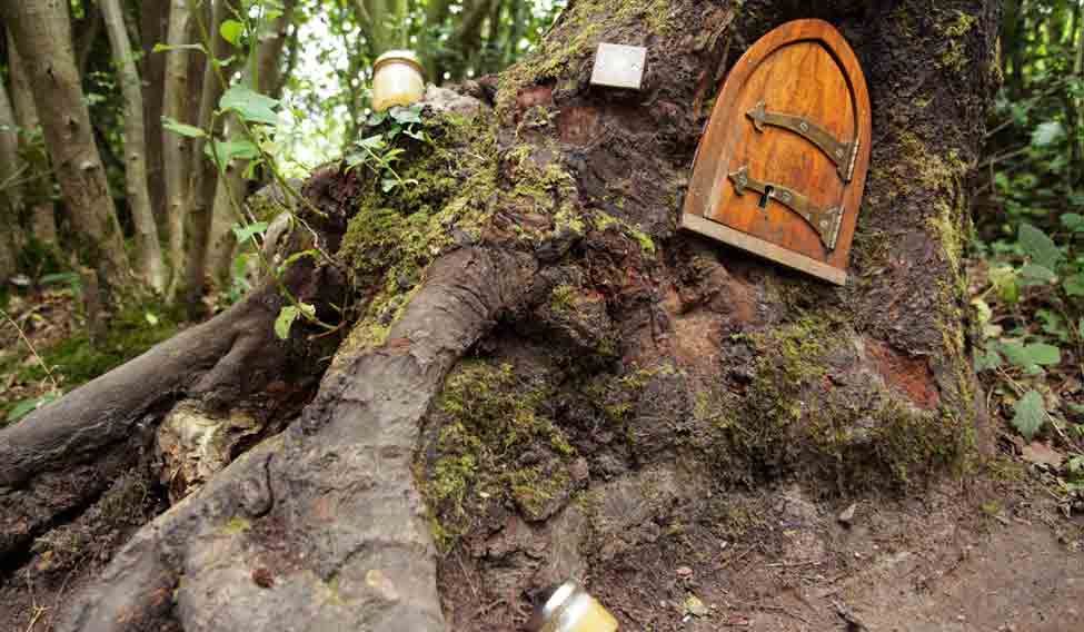 pooh-home pooh-home
