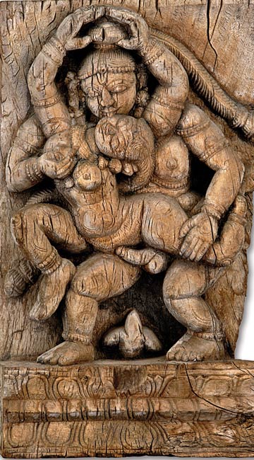 Verticle-Virility Verticle-Virility