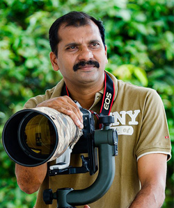 shefiq-basheer-ahammed shefiq-basheer-ahammed