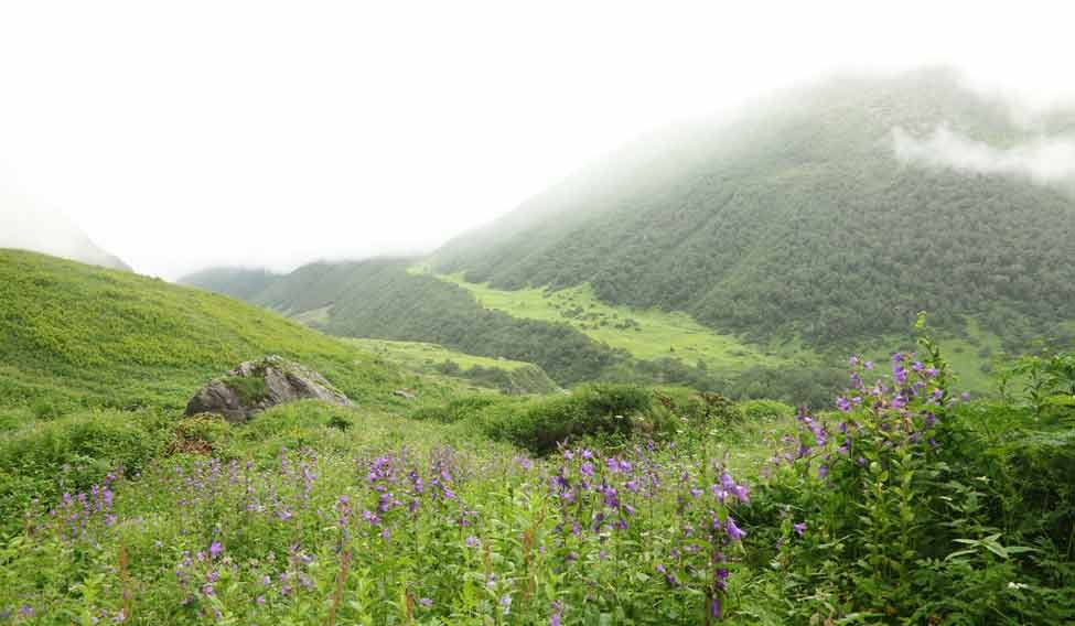 Must-visit World Heritage Sites in India Must-visit World Heritage Sites in India