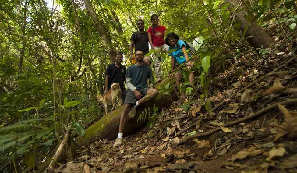 The goMowgli team in Coorg. goMowgli operates experiential bus tours for backpackers in South India. One-stop-shop for all your travel needs
