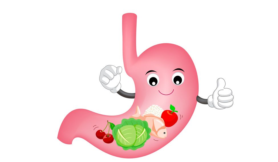 Get a gut makeover Get a gut makeover