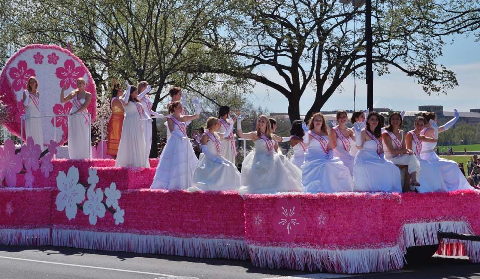 The National Cherry Blossom Festival Parade | EQRoy Washington DC, arrogant yet charming