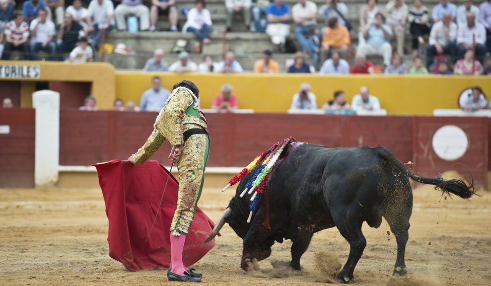 Jallikattu and other cruel sports Jallikattu and other cruel sports