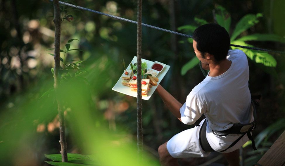 Tree Pod dining service | Herbert Ypma Redefining luxury