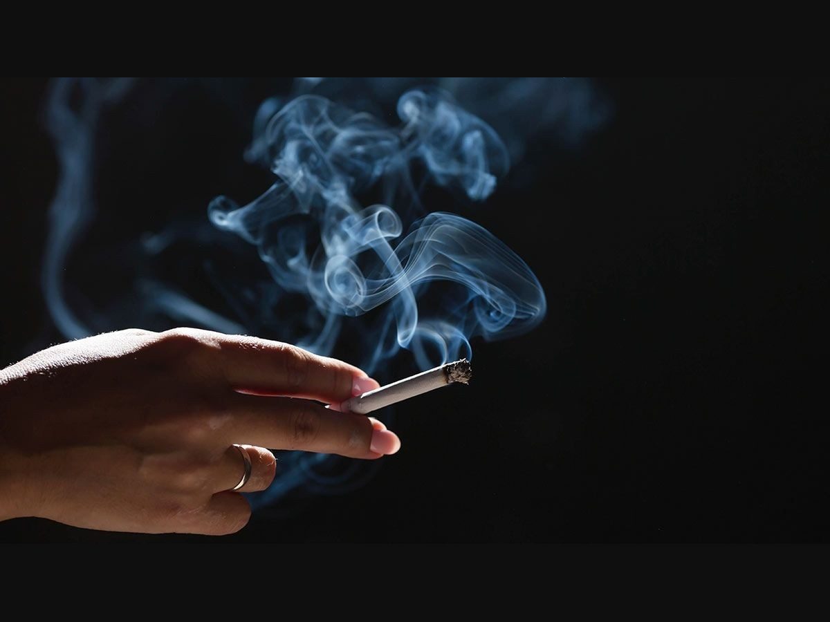 does not inhaling cigarettes Are you supposed to inhale cigars? Read the Best Answer Here