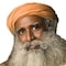 Sadhguru Jaggi Vasudev