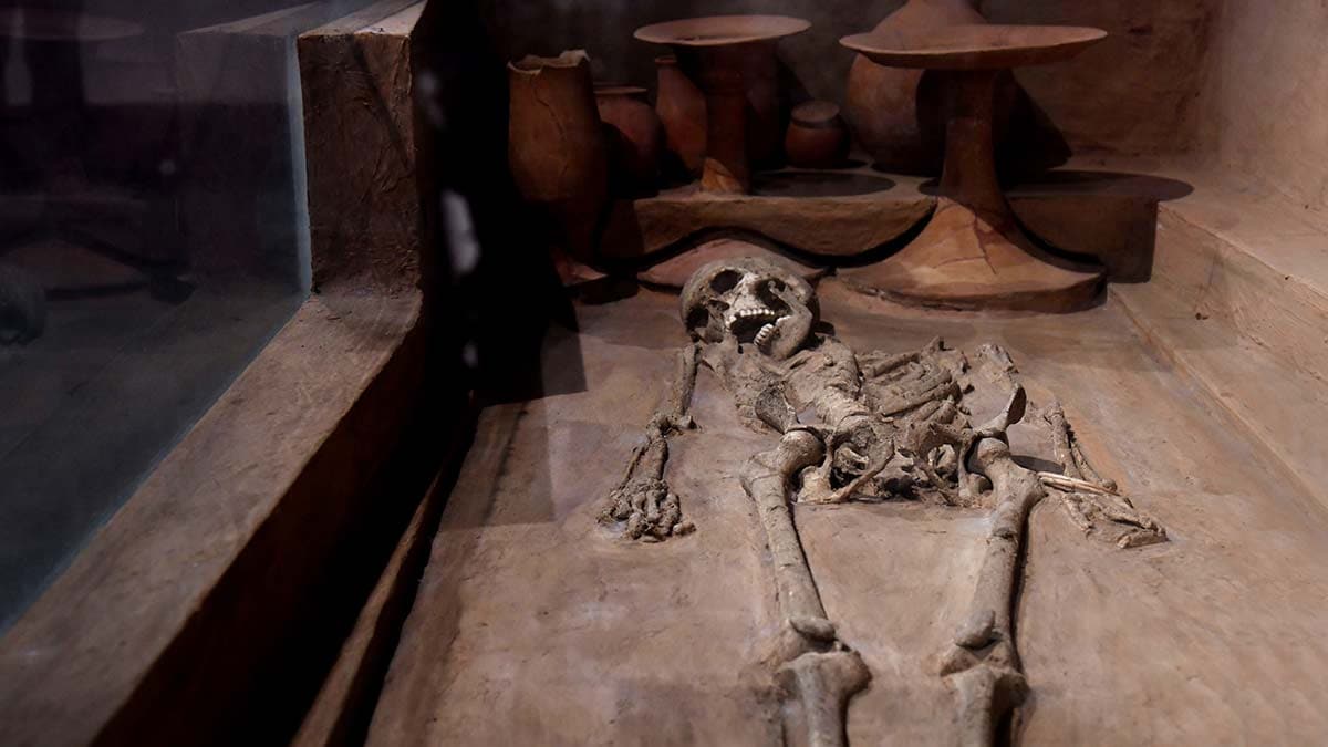 Silent witness: Harappan burial from Rakhigarhi displayed at the National Museum, New Delhi | Sanjay Ahlawat