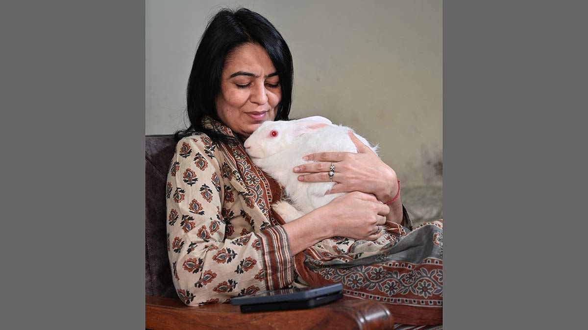 Labour of reform: Anuradha Chaudhary, aka ‘Revolver Rani’, at her home during her pregnancy. She kept and cared for 12 rabbits as proof she could sustain life | Sanjay Ahlawat