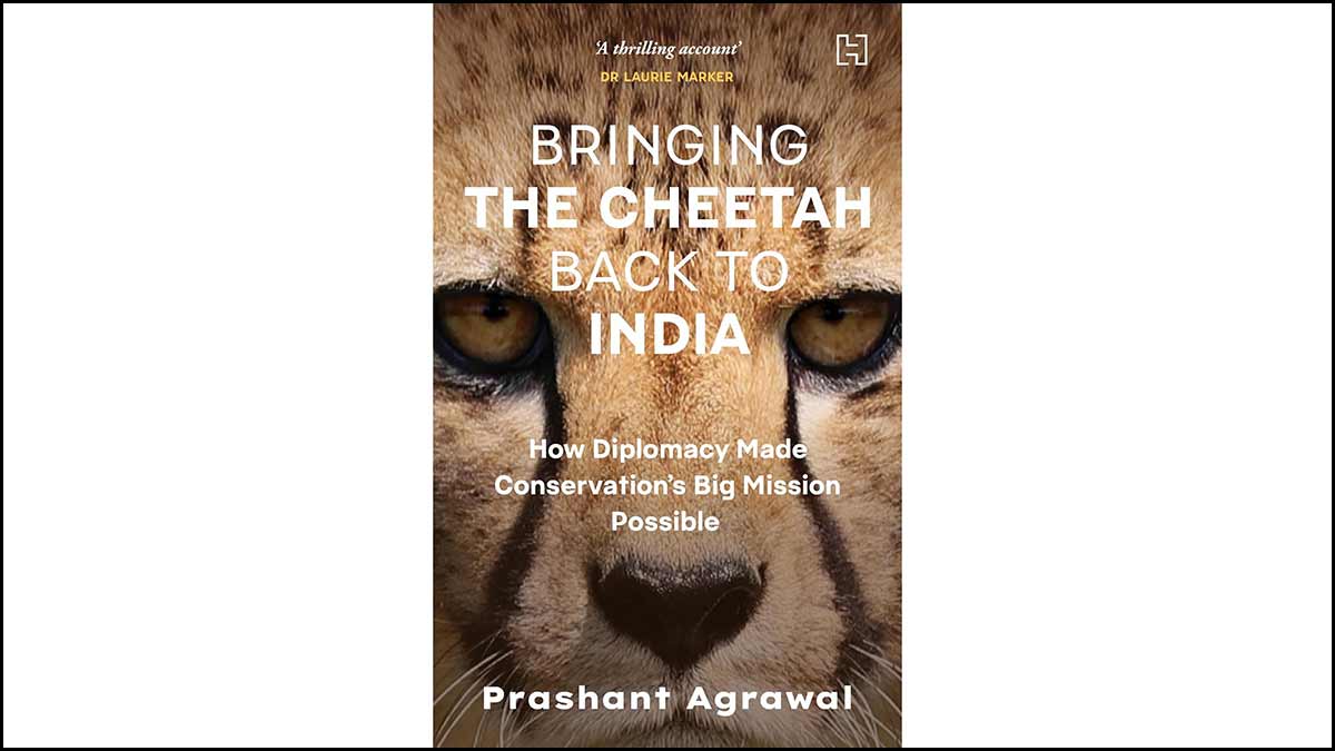 71-Bringing-the-Cheetah-Back-to-India