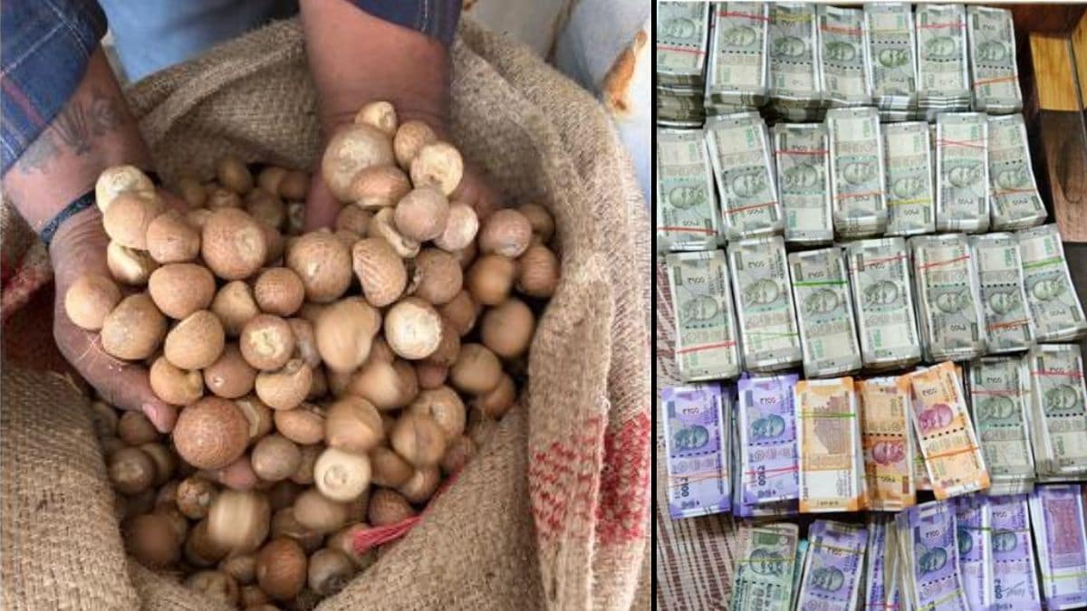 The seized areca nuts (left) and money | PIB