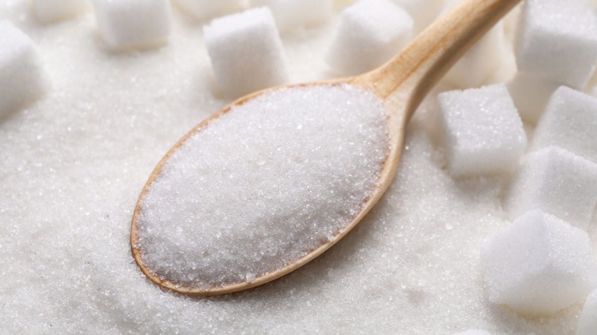 sugar-import - 1