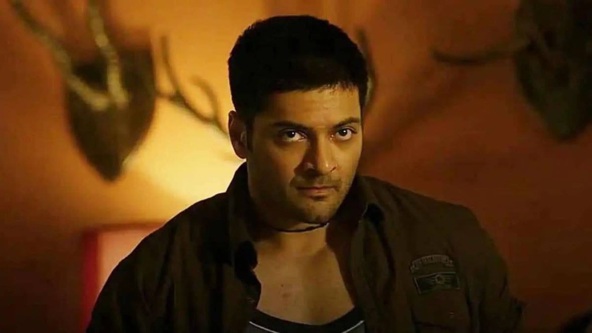 mirzapur-movie