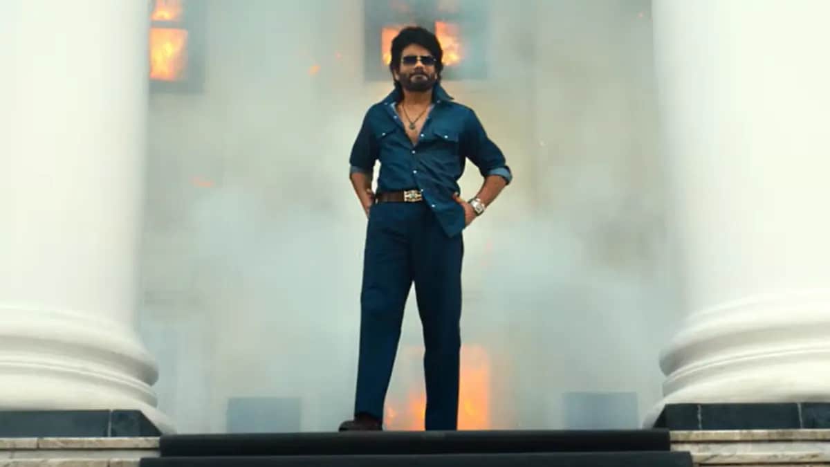 king-100-nagarjuna