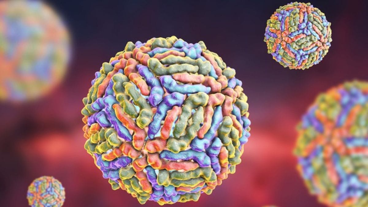 west-nile-fever - 1