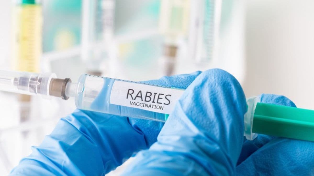 health-rabies - 1