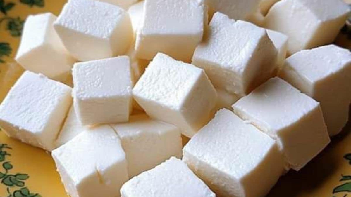 analogue-paneer-gujarat - 1