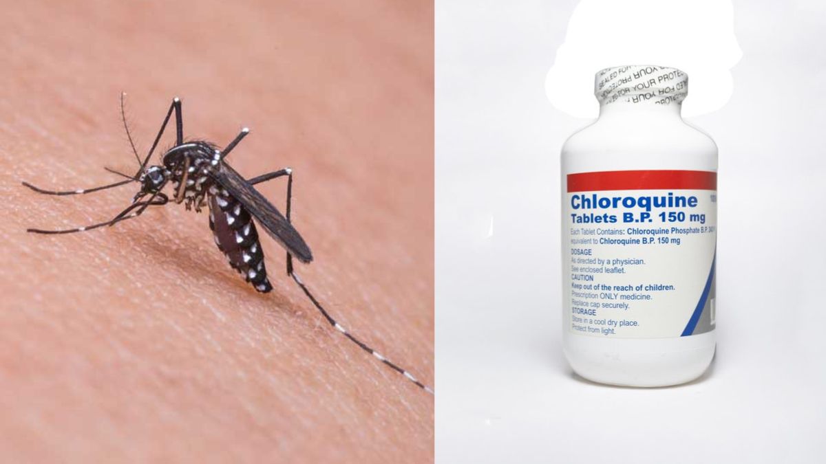 malaria-chloroquine - 1