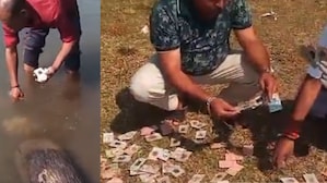 Madhya Pradesh: Over 340 voter IDs from BJP constituency found floating in river; Congress demands FIR