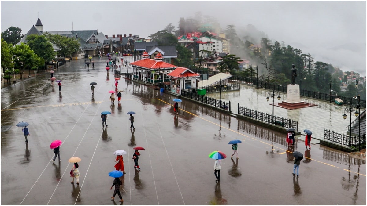 People cover themselves as they make their way during heavy rainfall in Shimla | PTI