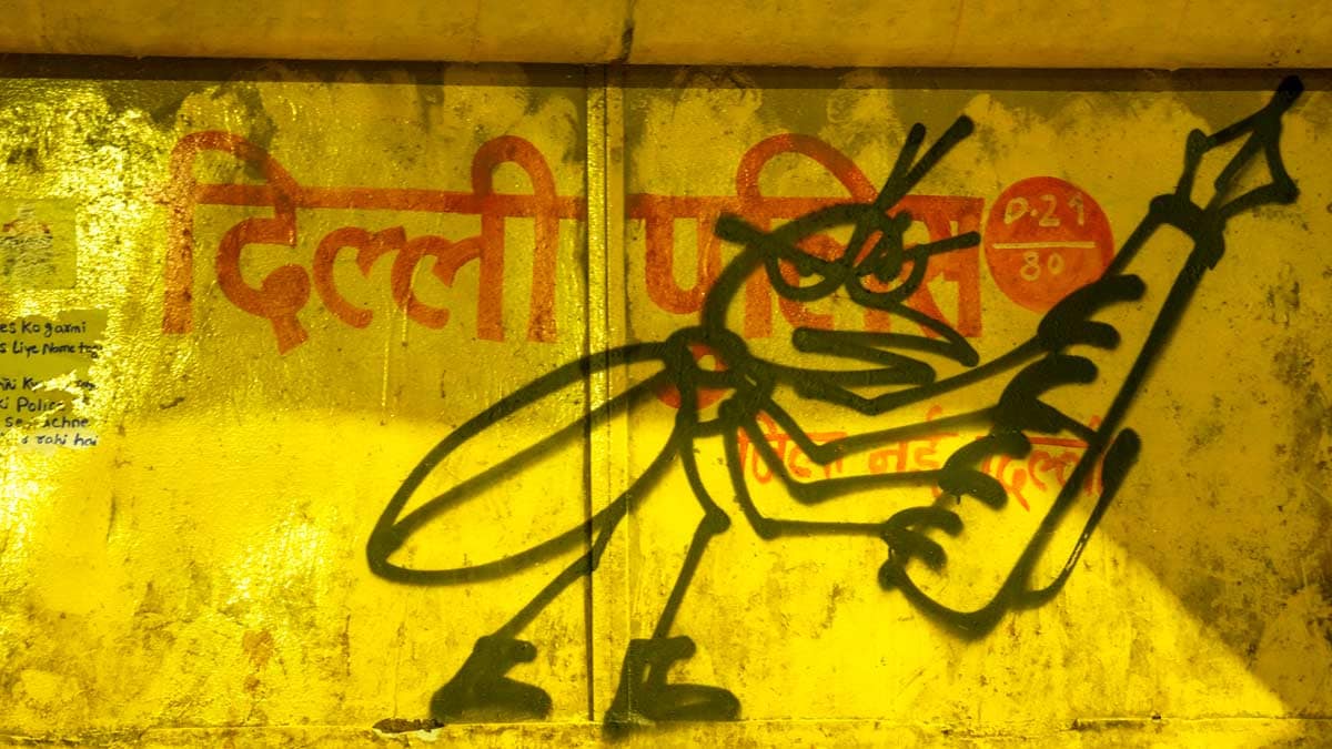 Beyond Modi & Wangchuk: Why Jantar Mantar protesters refuse to back down