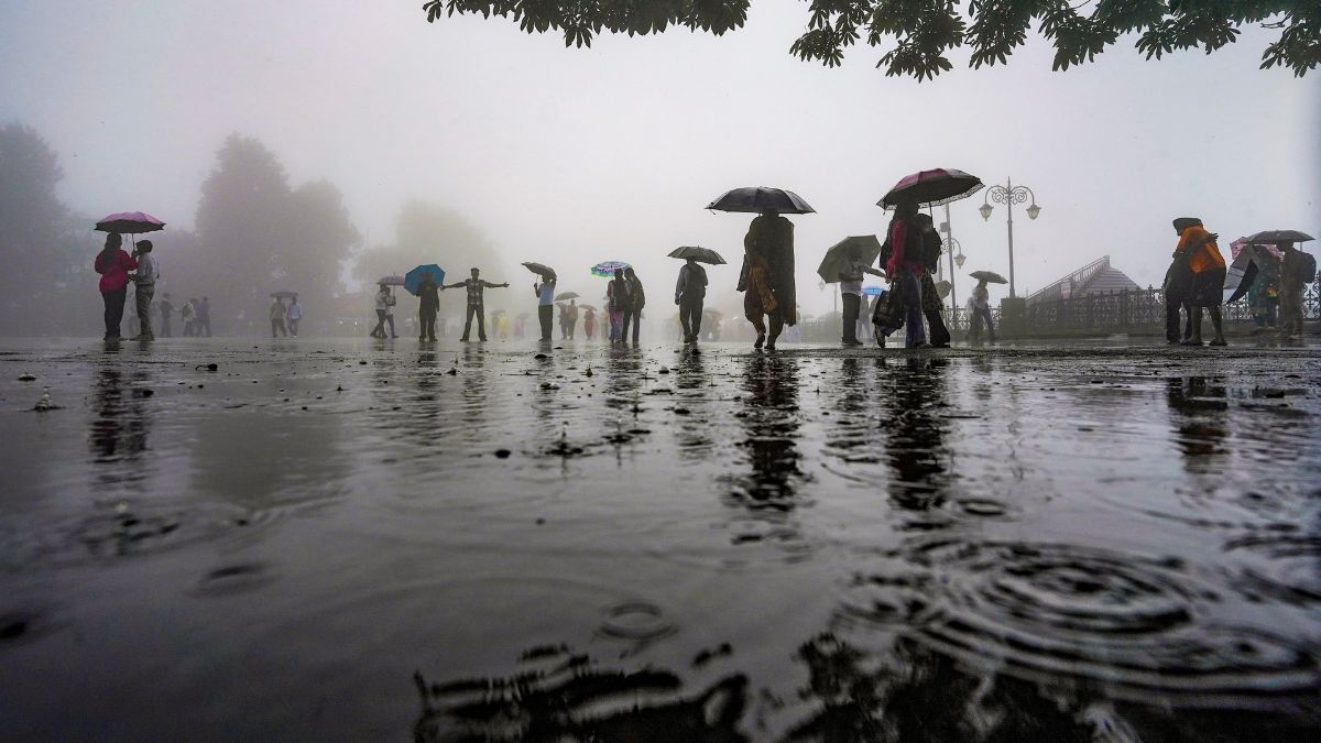 People move along the road amid monsoon rain, in Shimla, Himachal Pradesh | PTI