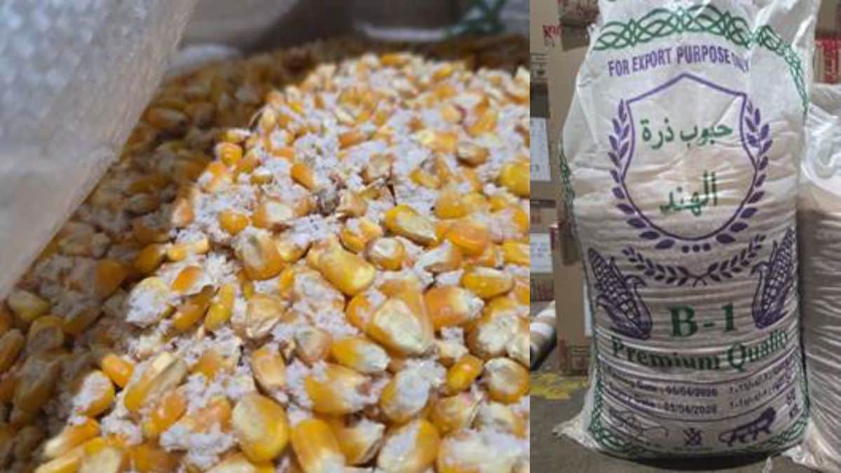 Seized meth in maize (left) and the bag it was found in | DRI