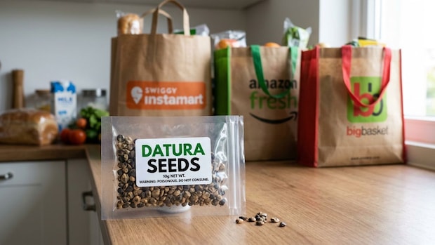 Why Karnataka suspended food licences of Amazon, Swiggy Instamart and BigBasket 