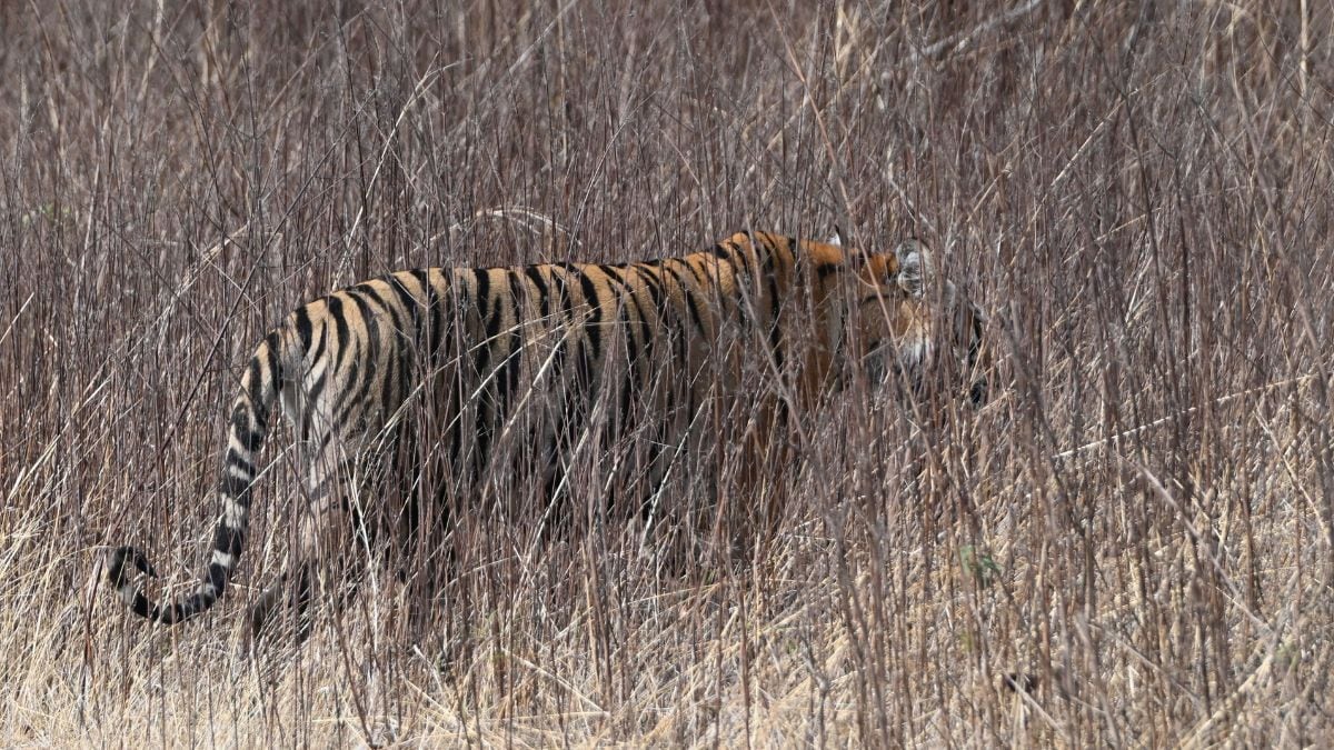 Representational image | Salil Bera