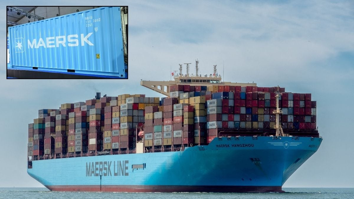 Representative image of a Maersk container ship; (inset) The first Indian-made EXIM container for Maersk | X/@sarbanandsonwal, Reuters