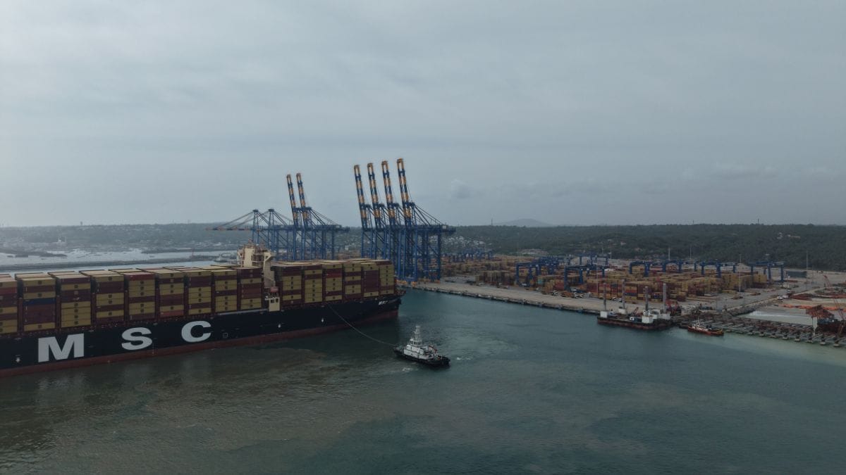An MSC container ship at the Vizhinjam Port in Kerala