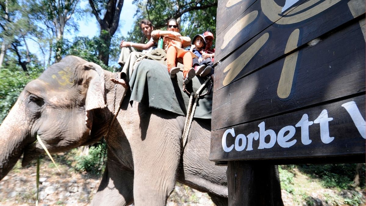 A safari operator at a resort in the Jim Corbett National Park in Uttarakhand in December 2010 [File photo] | Bhanu Prakash Chandra
