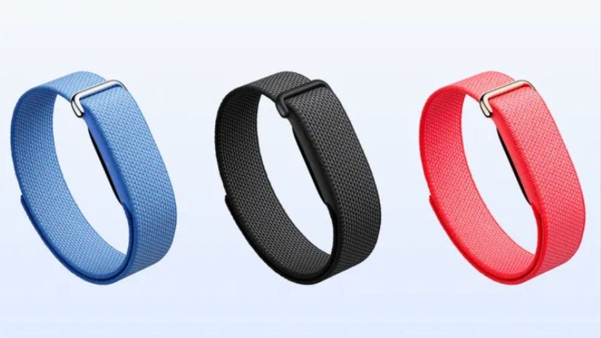 Google Fitbit Air 