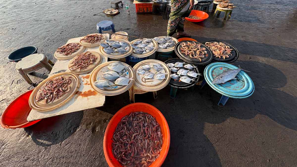 Harnai fish auction | Khursheed Dinshaw