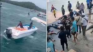 Vietnam boat tragedy due to 'malfunction' or bad weather? 15 Indians killed; what we know so far