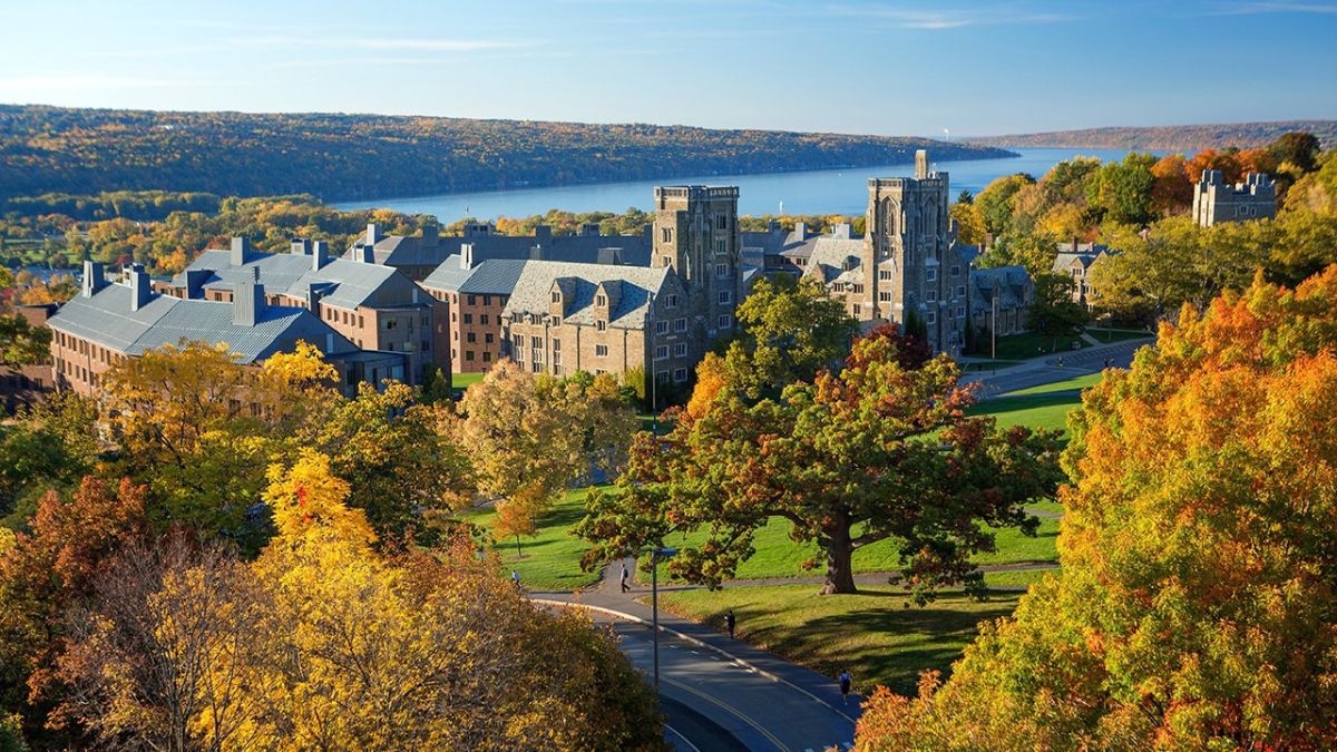 Image courtesy | Cornell University official website