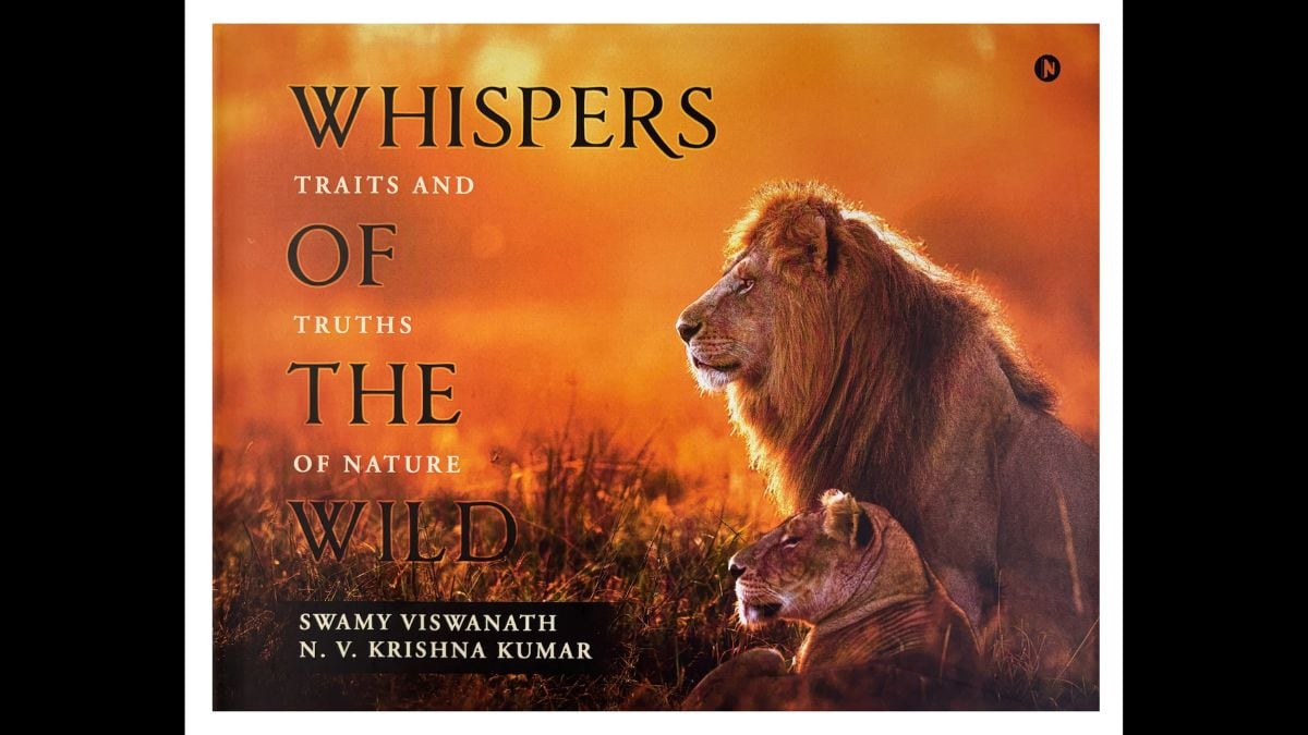 Whispers of the Wild