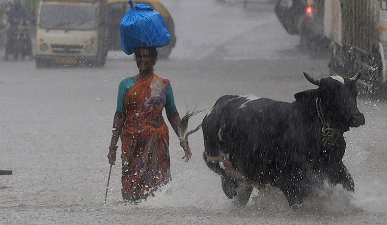 [File] A woman walks along with her cow through a waterlogged street during monsoon rains in Mumbai | AP