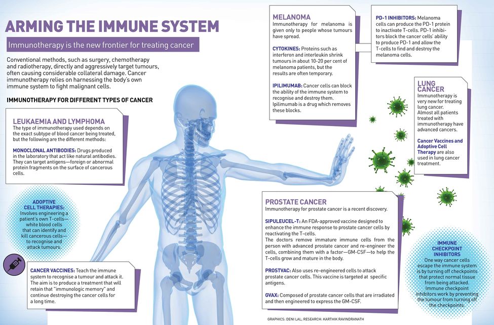 22-Arming-the-immune-system