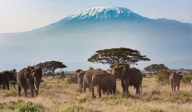 24-Mt-Kilimanjaro