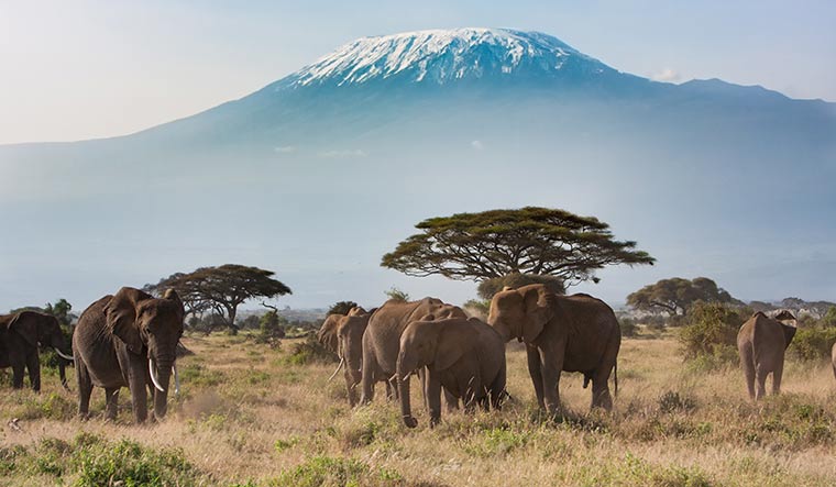 Mighty mountain: Mt Kilimanjaro as seen from Amboseli National Park, Kenya.