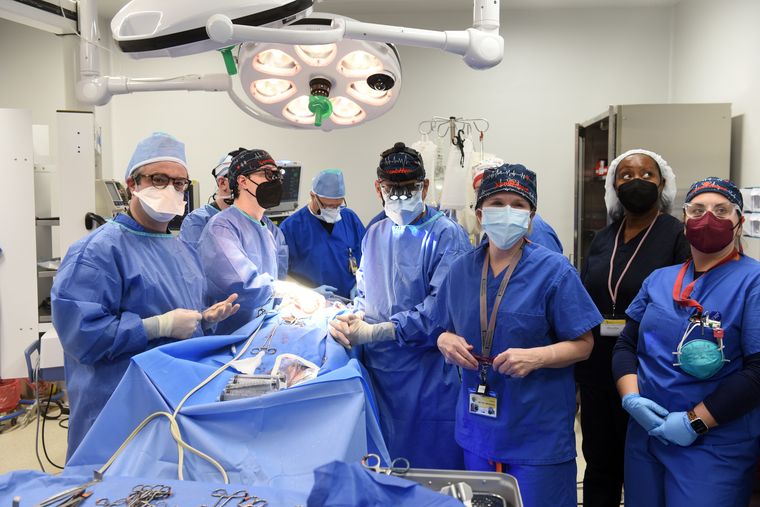 Team work: The members of the surgical team transplanting pig heart into  David Bennett | University Of Maryland School Of Medicine