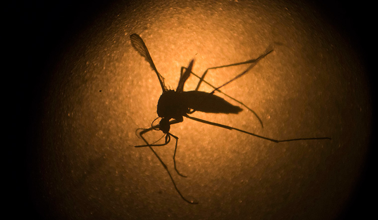 India Zika Virus