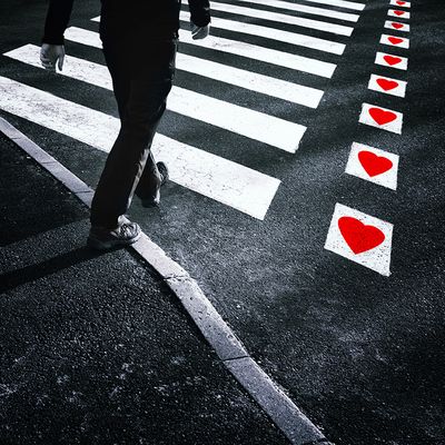 8-Lead-an-active-life